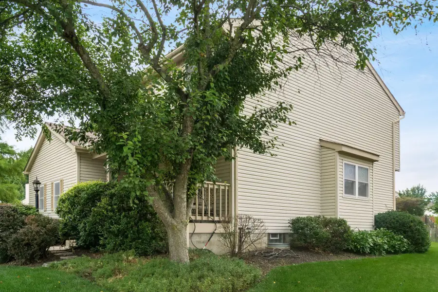 396 Field Harvest Avenue, Pickerington, OH 43147 - #3