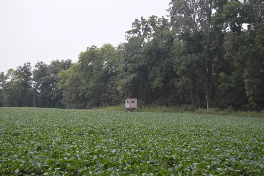 0 County Road 23, Archbold, OH 43502 - #2