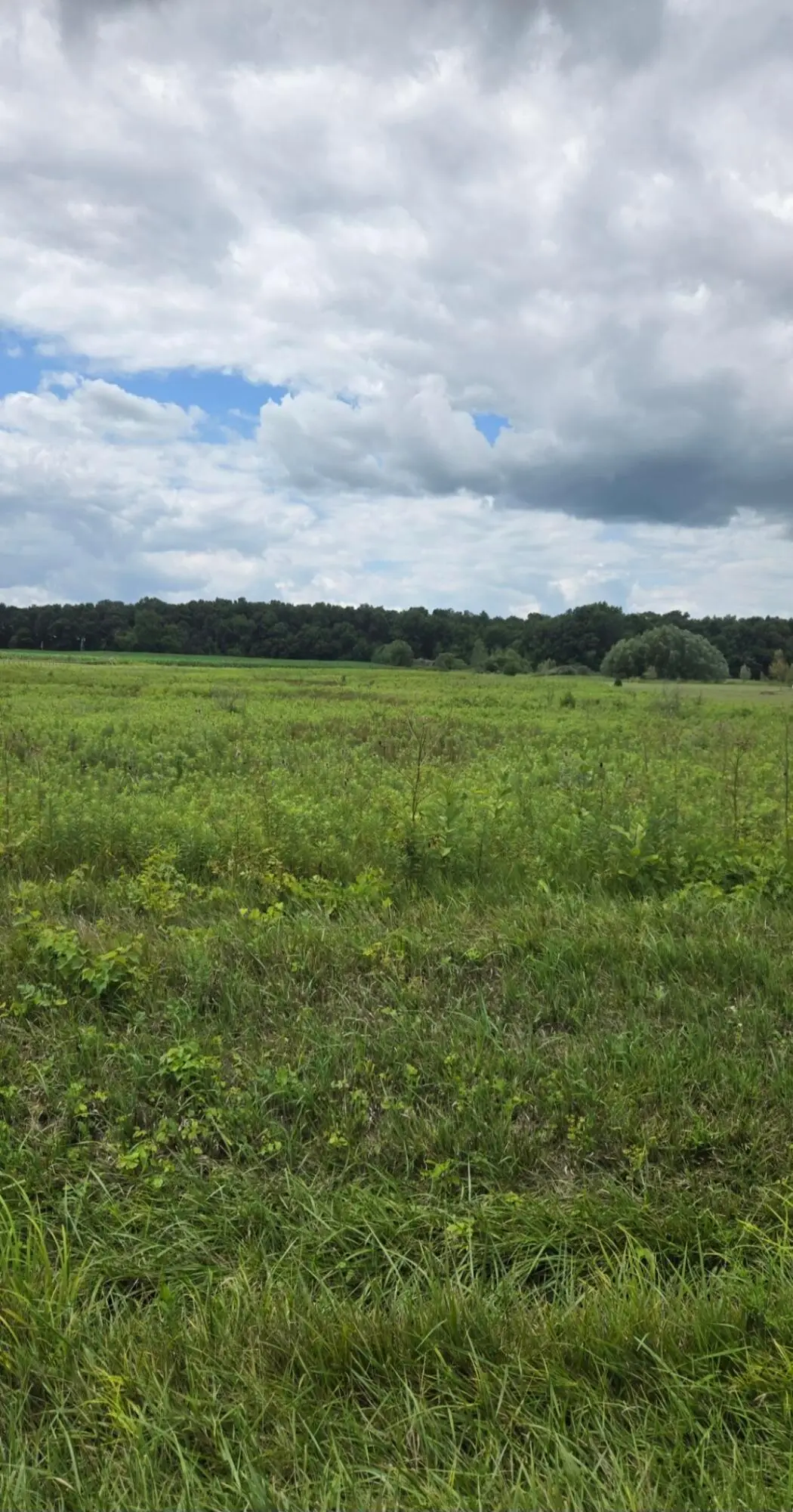 26065 Lunda Road, West Mansfield, OH 43358 - #1