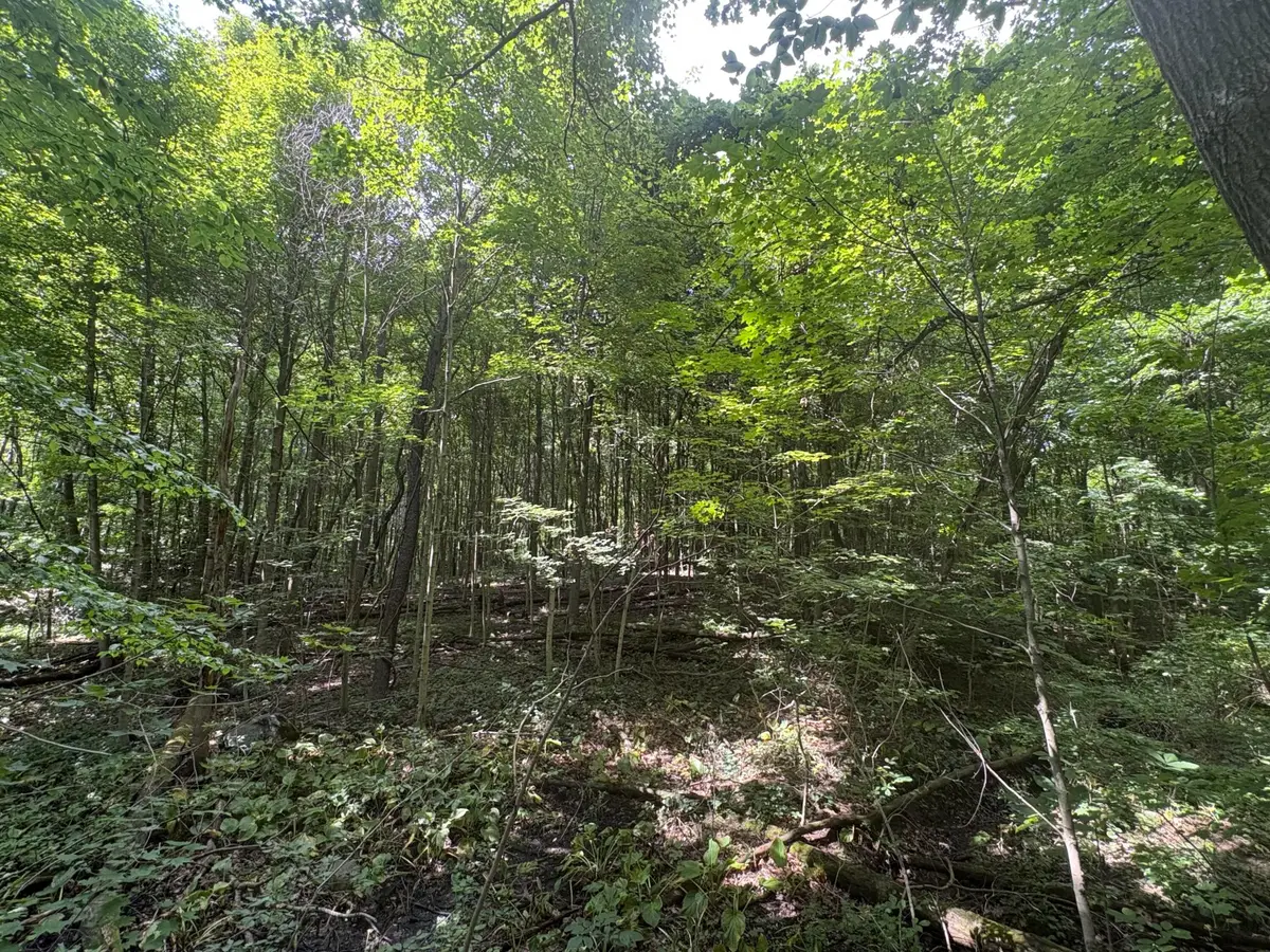 3645 Township Rd 161, Marengo, OH 43334 - #1