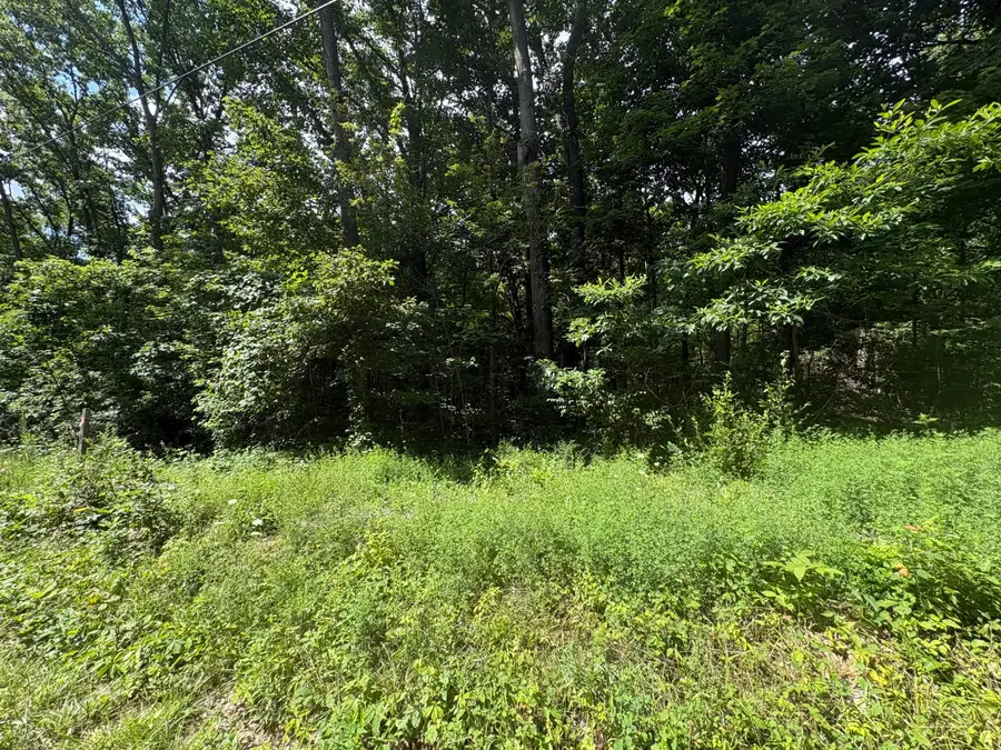 3645 Township Rd 161, Marengo, OH 43334 - #3