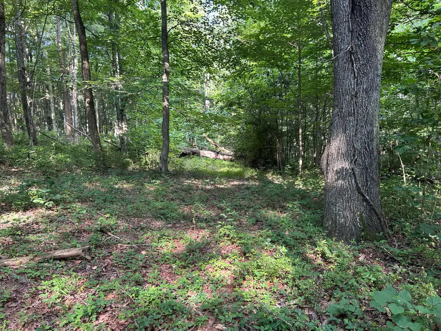 6741 Big Spruce Little Bear Road, Otway, OH 45657 - #3