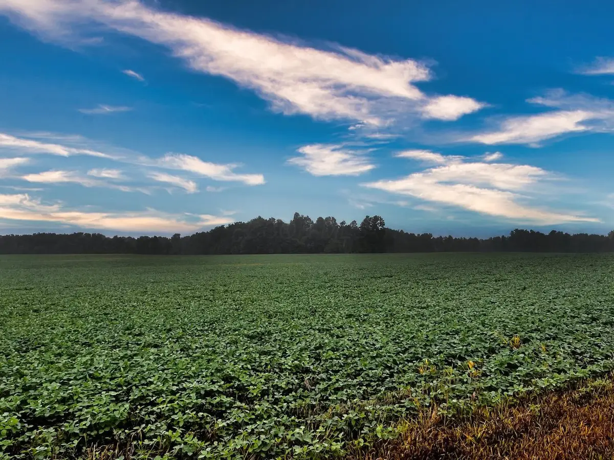 0 Township Road 114, Mount Gilead, OH 43338 - #1