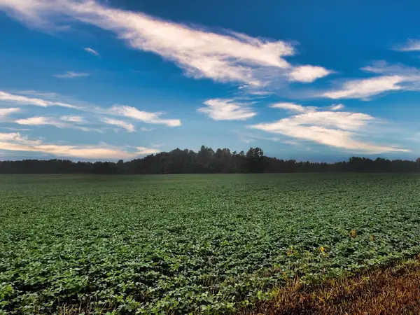 0 Township Road 114, Mount Gilead, OH 43338