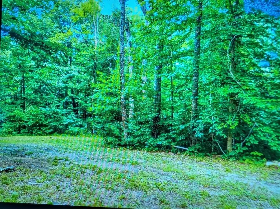 9884 State Rt 93, New Straitsville, OH 43766 - #3