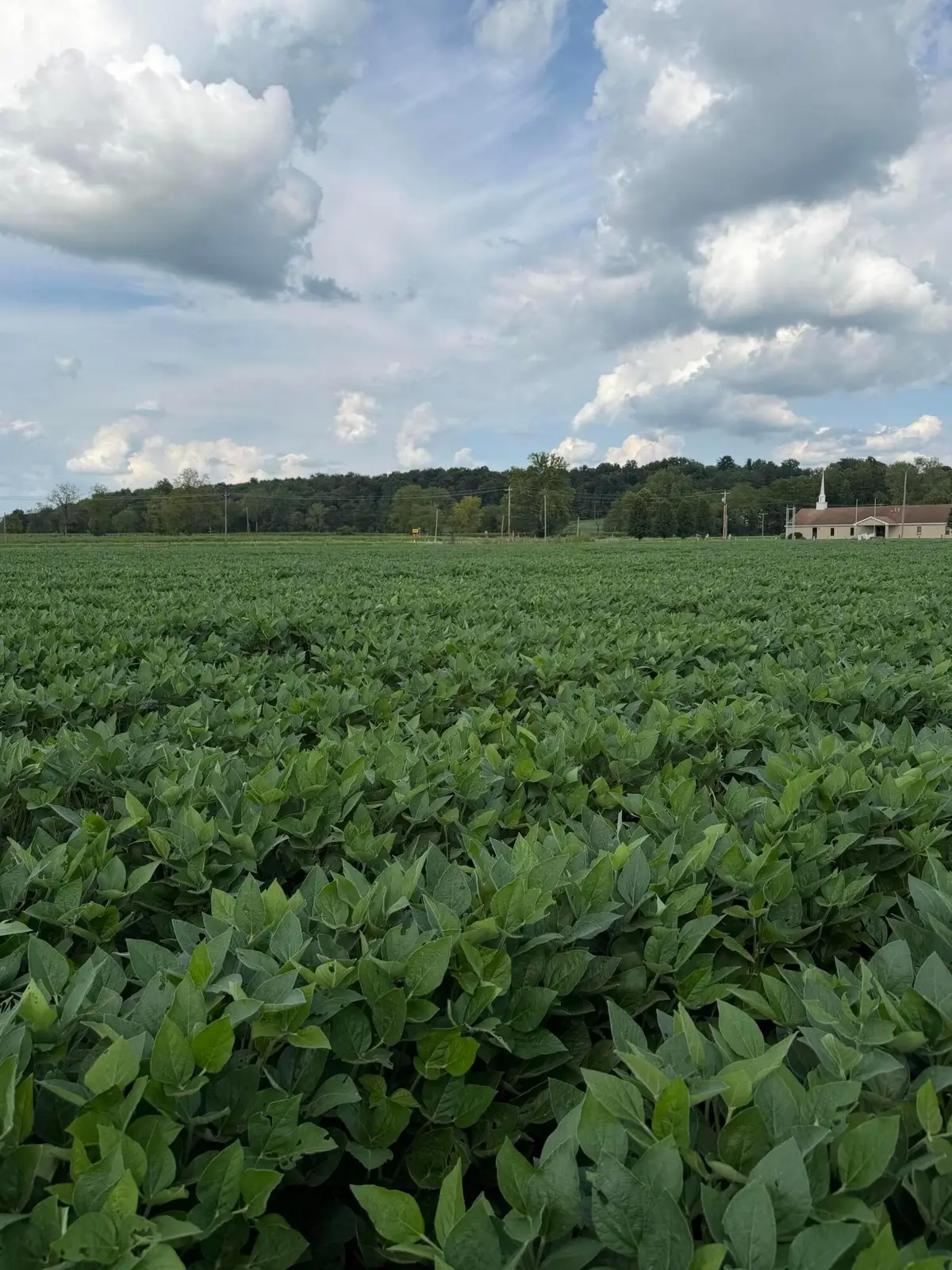 0 Mt. Zwingli Road Se, Bremen, OH 43107 - #1