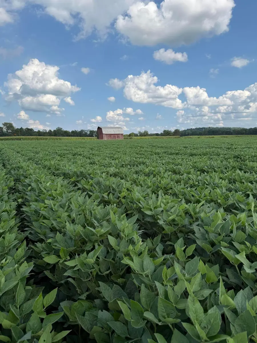0 Mt. Zwingli Road Se, Bremen, OH 43107 - #3