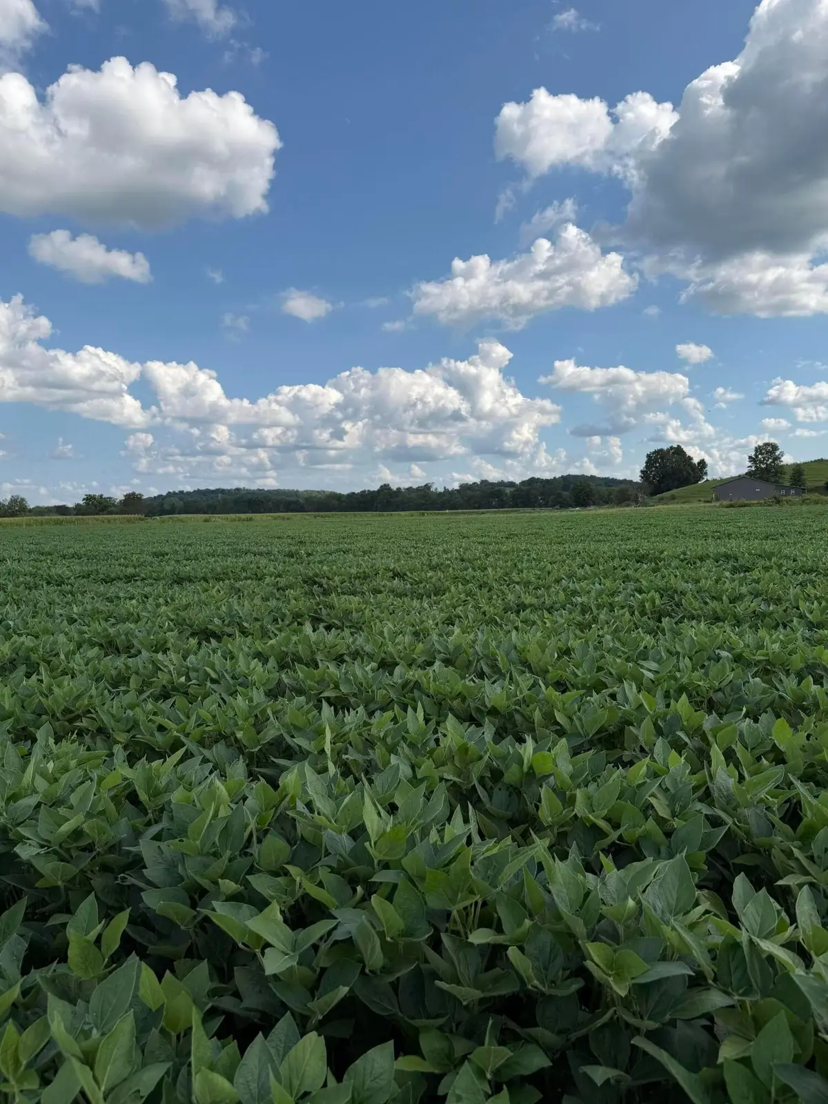 0 Mt. Zwingli Road Se, Bremen, OH 43107 - #1