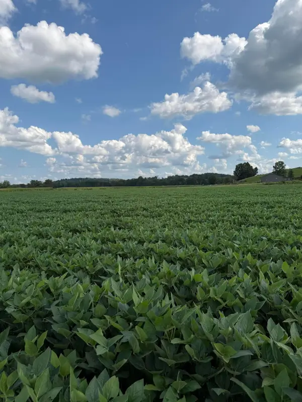 0 Mt. Zwingli Road Se, Bremen, OH 43107