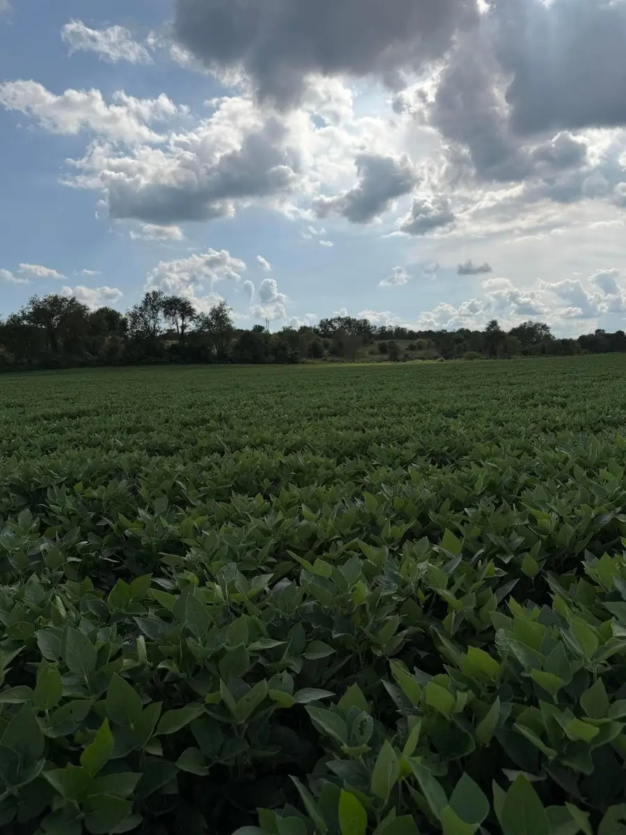 0 Mt. Zwingli Road Se, Bremen, OH 43107 - #3