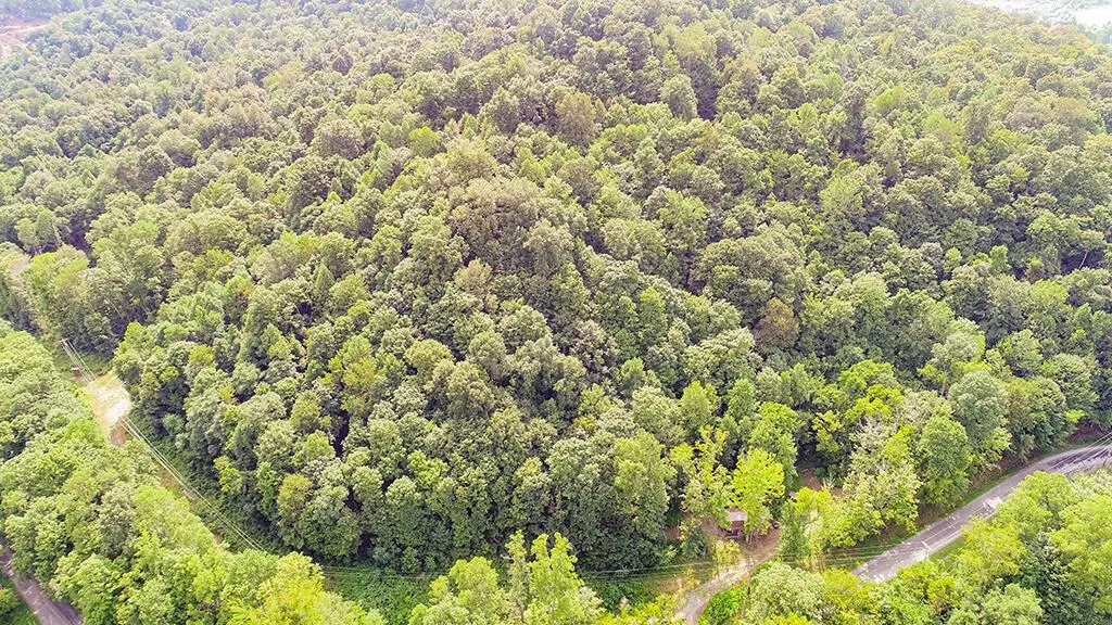 182 Sunfish Creek Road, Piketon, OH 45661 - #1