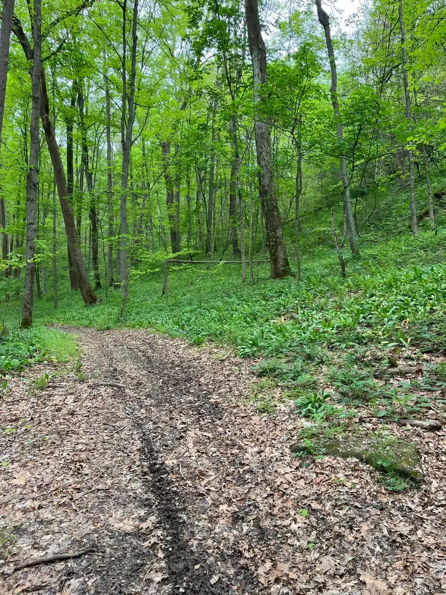 41060 Dawley New Pittsburg Road, Nelsonville, OH 45764 - #2