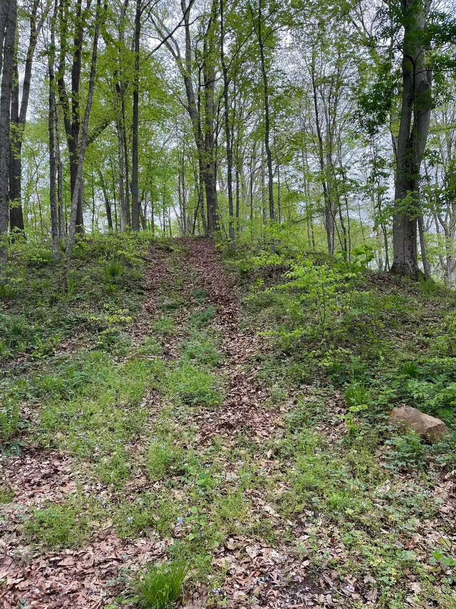 41060 Dawley New Pittsburg Road, Nelsonville, OH 45764 - #3