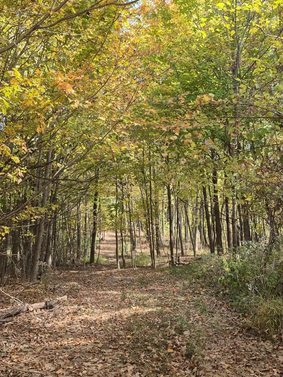 5831 Township Highway 105, Mount Gilead, OH 43338 - #2