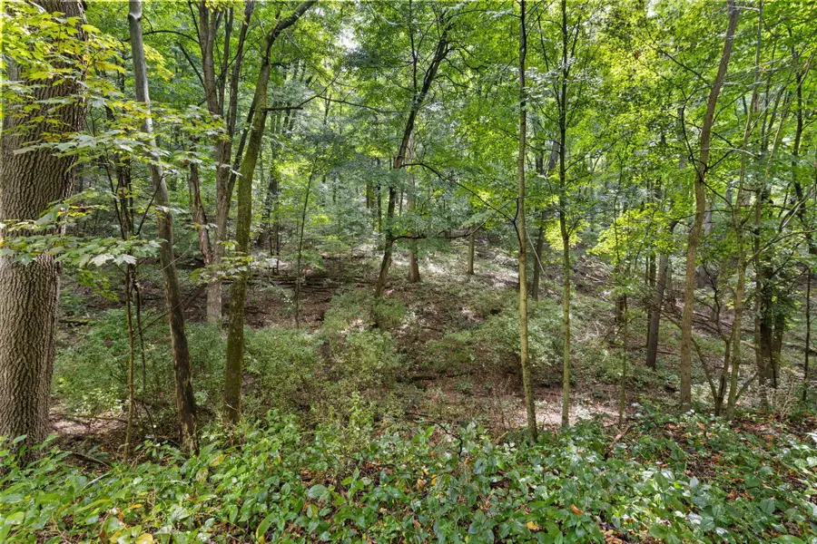 105 Mill Road, Bellville, OH 44813 - #3