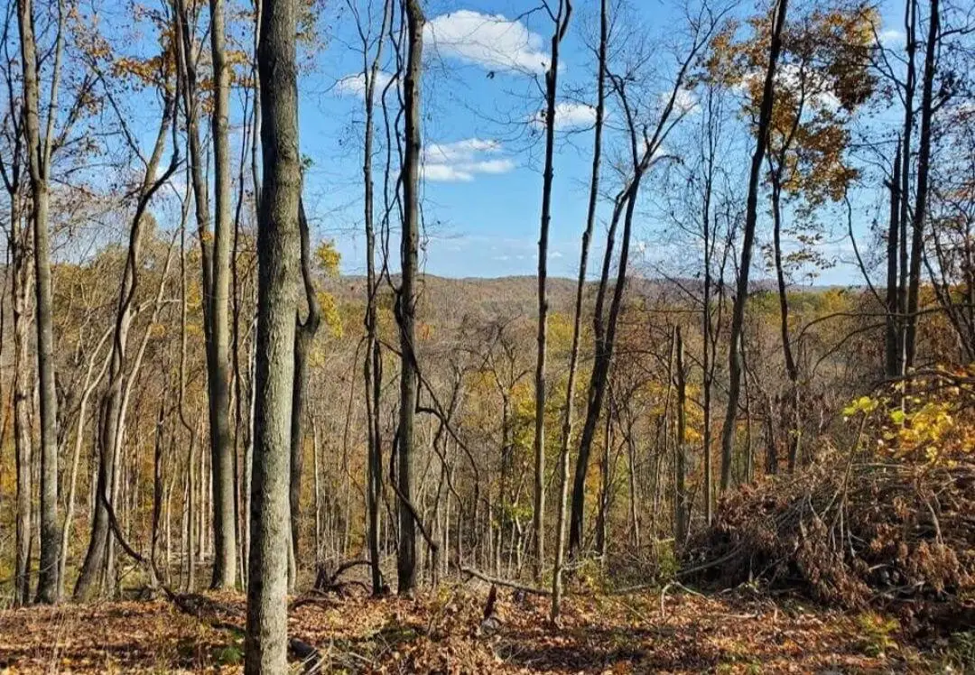 0 State Route 691 Highway, Nelsonville, OH 45764 - #1