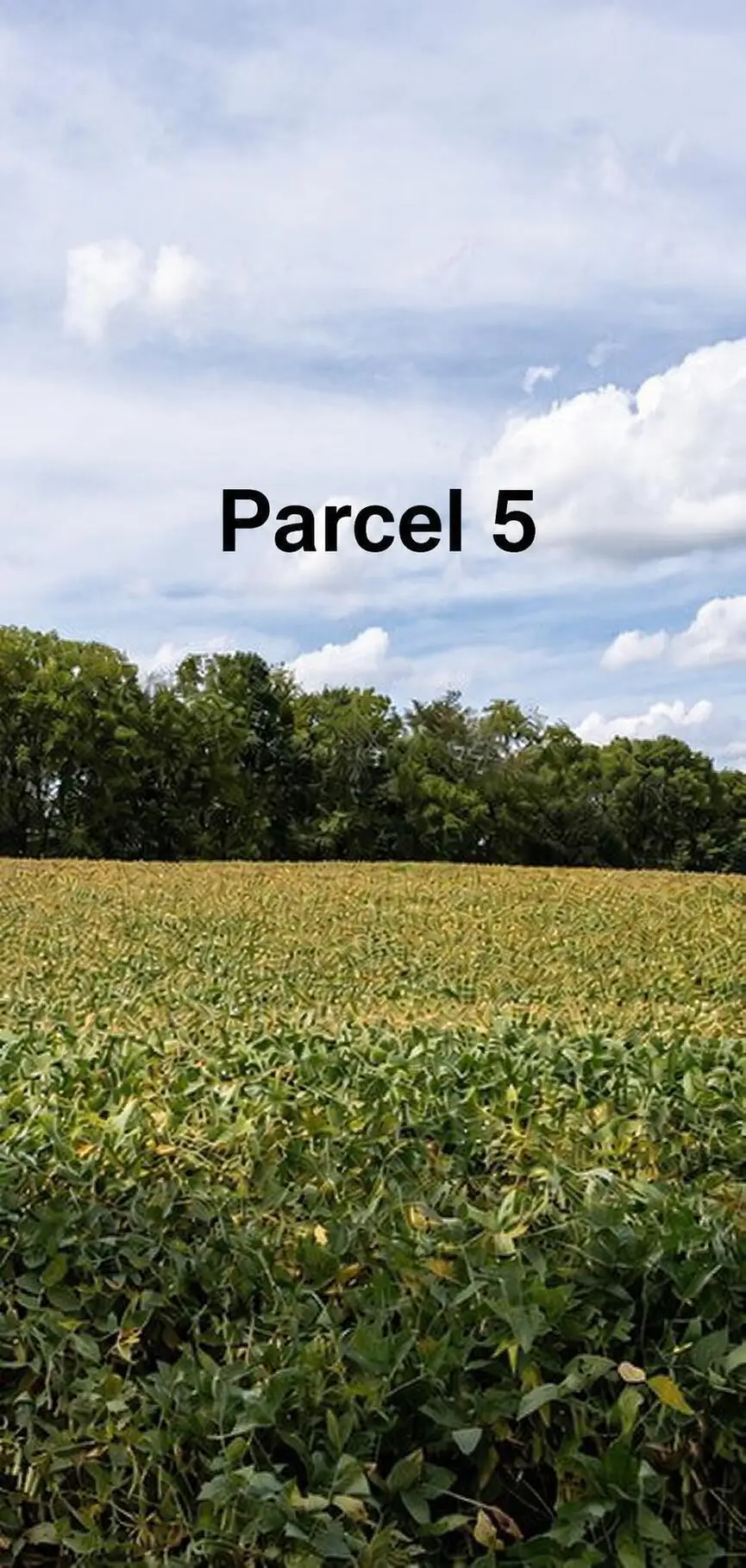 00000 Millersburg Road, Gambier, OH 43022 - #1