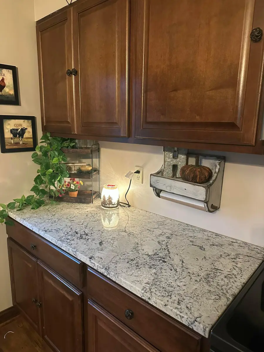 205 Prospect Street, Mechanicsburg, OH 43044 - #3