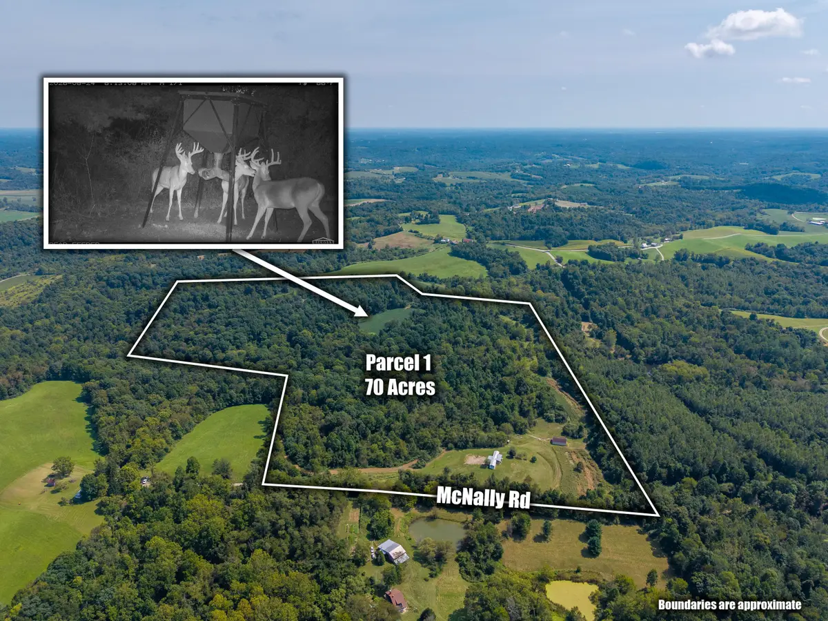 3930 Mcnally Road, Stockport, OH 43787 - #1