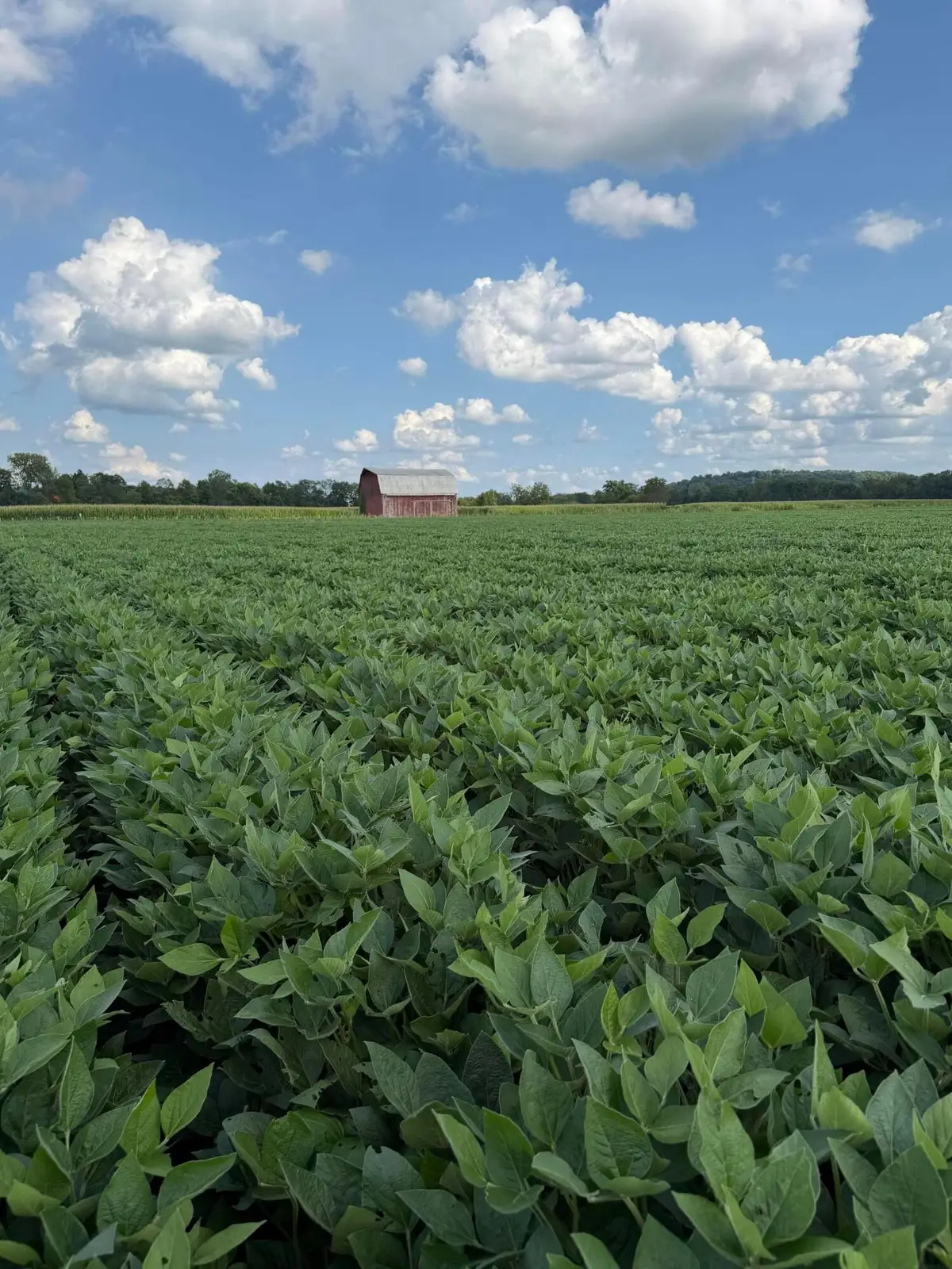 0 Mt. Zwingli Se, Bremen, OH 43107 - #1