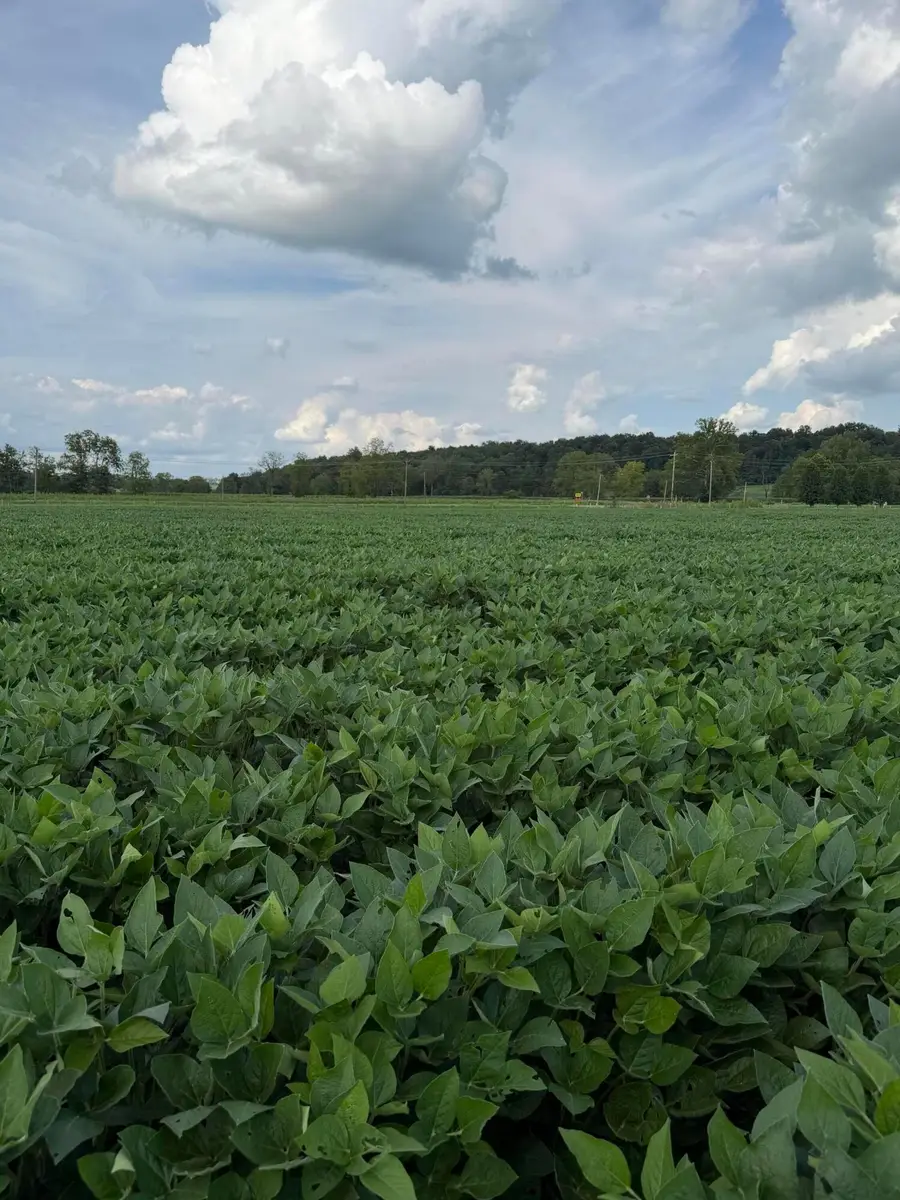 0 Mt. Zwingli Se, Bremen, OH 43107 - #3