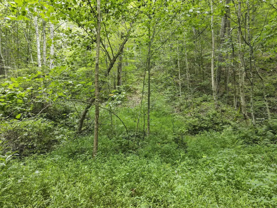 23584 Conrad Road, South Bloomingville, OH 43152 - #3
