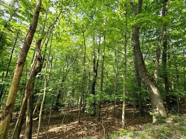 1756 Mohican Lane, Hide A Way Hills, OH 43107 - #1