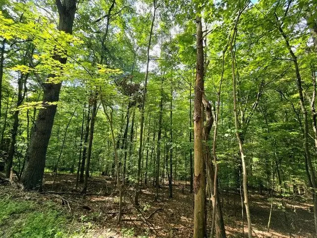 1756 Mohican Lane, Hide A Way Hills, OH 43107 - #3