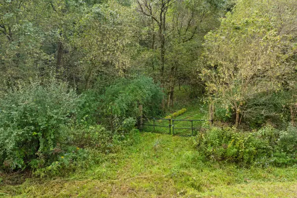 0 Township Rd 329, Corning, OH 43730