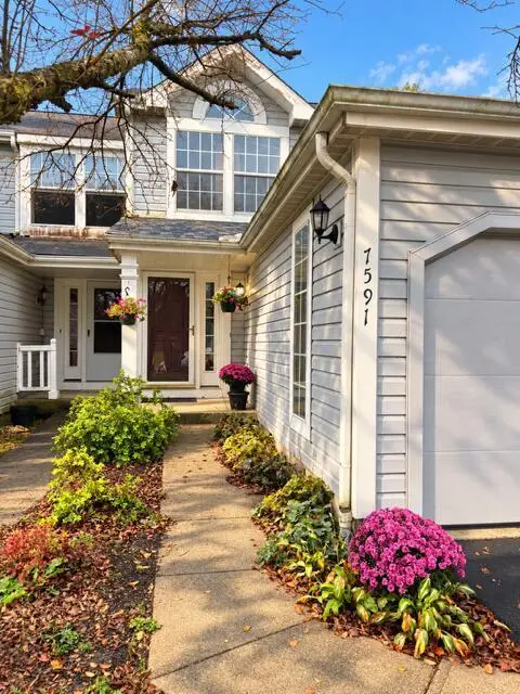 7591 Bay Hill Drive, Pickerington, OH 43147 - #1