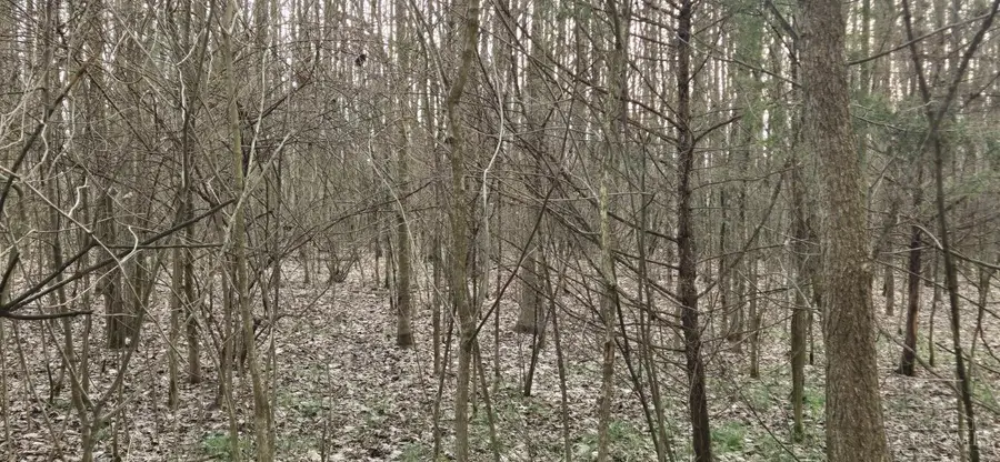 #2