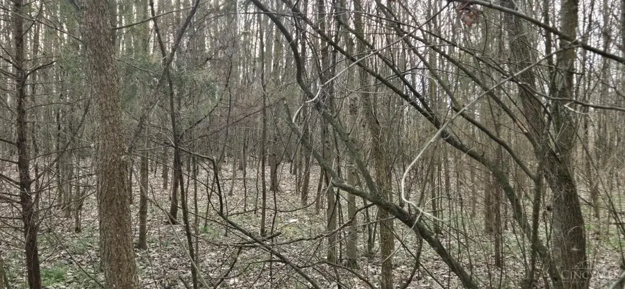 #2