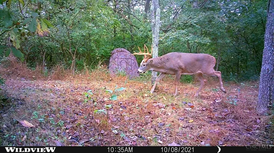 #3