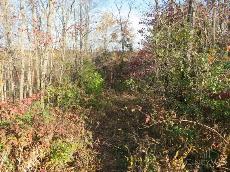 0 Carl Penn Road, Waverly, OH 45690 - Image #2