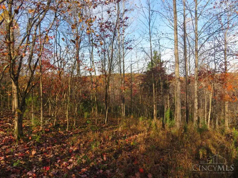 0 Carl Penn Road, Waverly, OH 45690 - Image #3