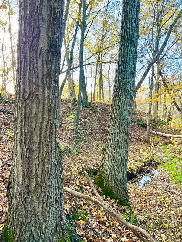 872 Mullen Road, Washington Twp, OH 45153