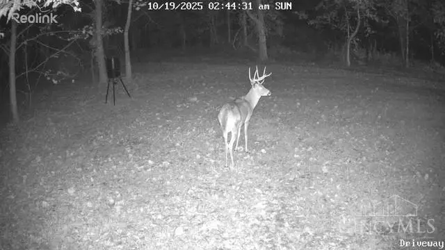 0 Valley Chapel Road, Jackson, OH 45640 - Image #3