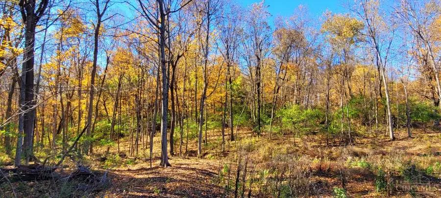 1300 Riverwalk Drive, Pierce Township, OH 45157 - Image #2