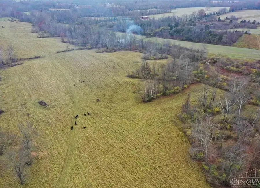 19 Beech Road, Bethel, OH 45106 - Image #3