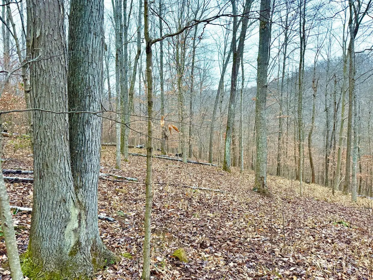 0 Golley, Otway, OH 45657 - Image #1