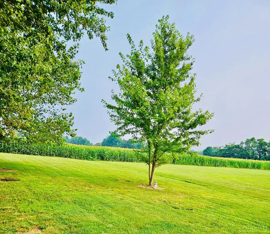 1420 Rose Hill Road, Hamersville, OH 45130 - Image #2