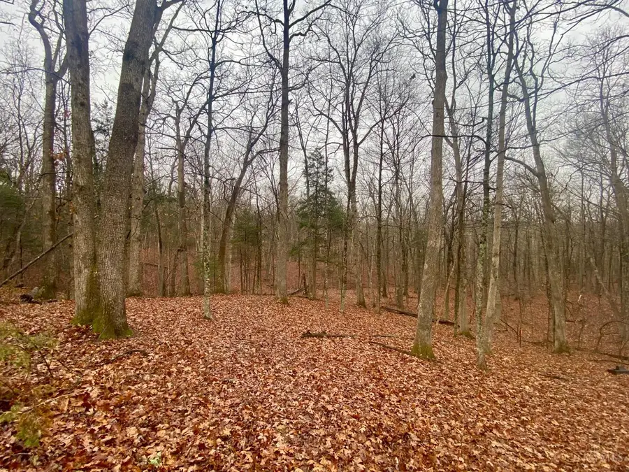 435 Rolling Woods Drive, West Union, OH 45693 - Image #2