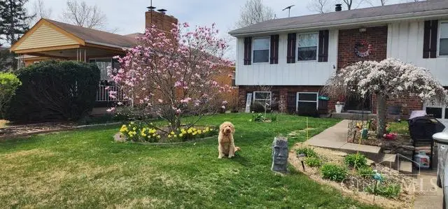 4175 Boudinot Avenue, Monfort Heights, OH 45211 - Image #2