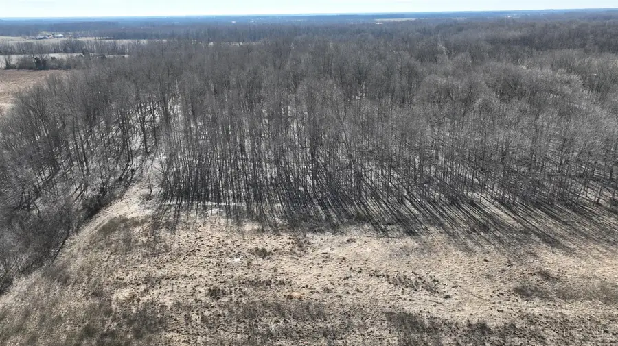 47 Club Road, Hamersville, OH 45130 - #3