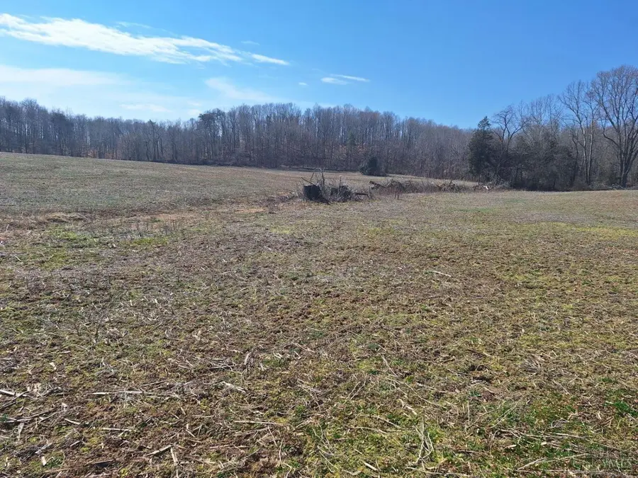 234 Dry Bone Drive, Mifflin, OH 45660 - #3