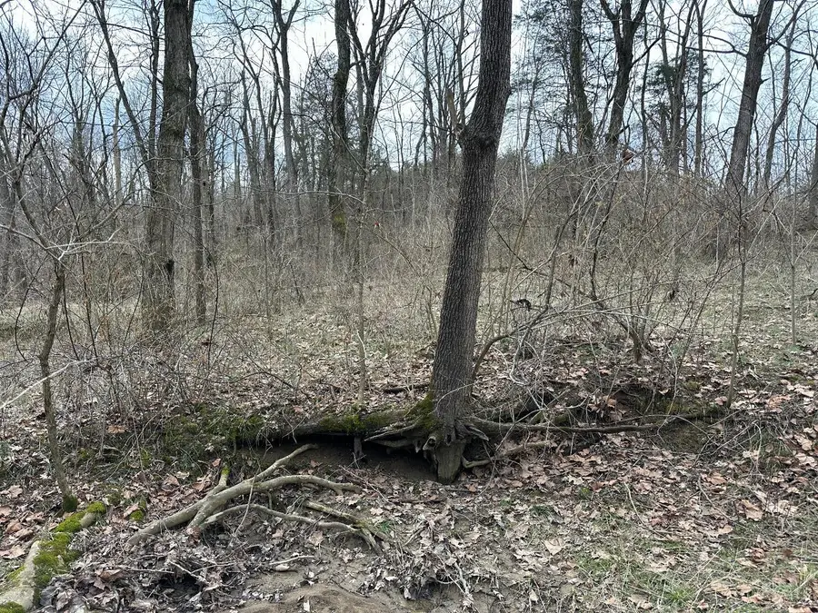 0 Wilson, Winchester, OH 45697 - #2