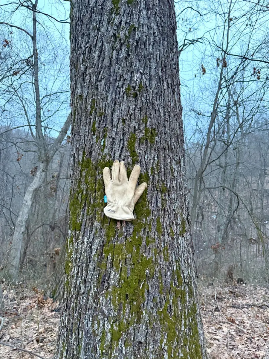 0 Straight Creek Road, Jackson, OH 45613 - #2