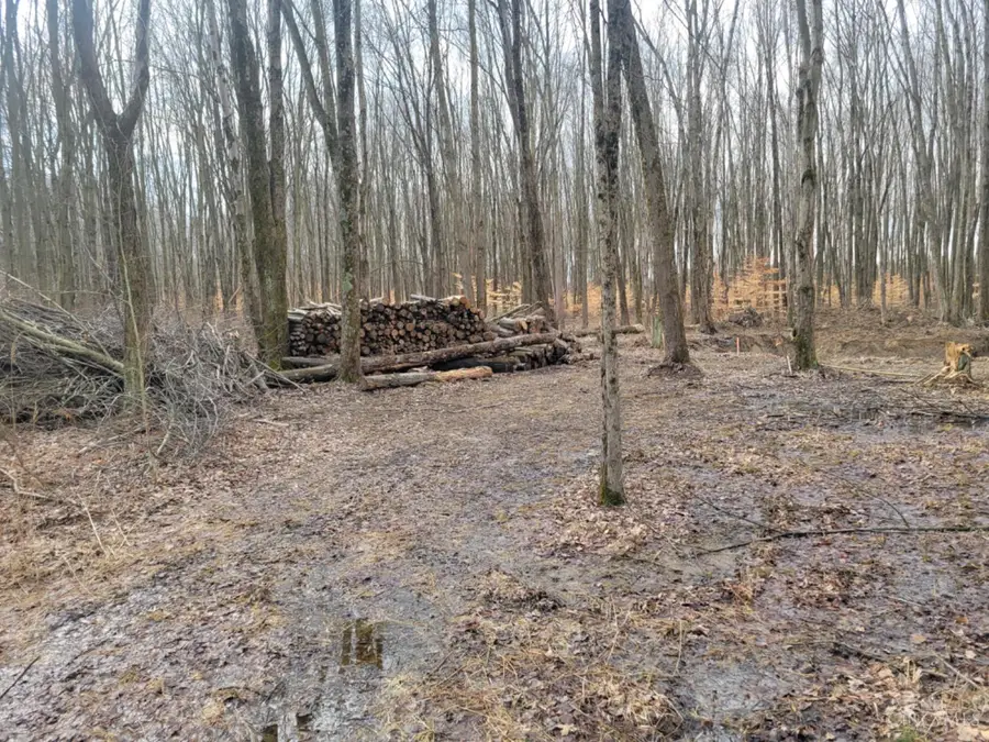 6115 Manila Road, Wayne, OH 45122 - #3