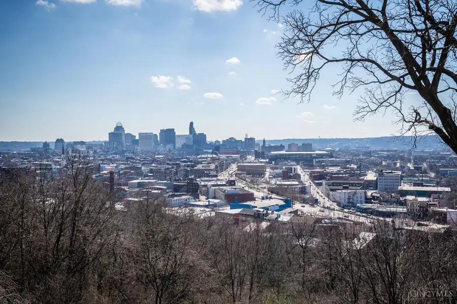 305 Klotter Avenue, Cincinnati, OH 45219 - #3