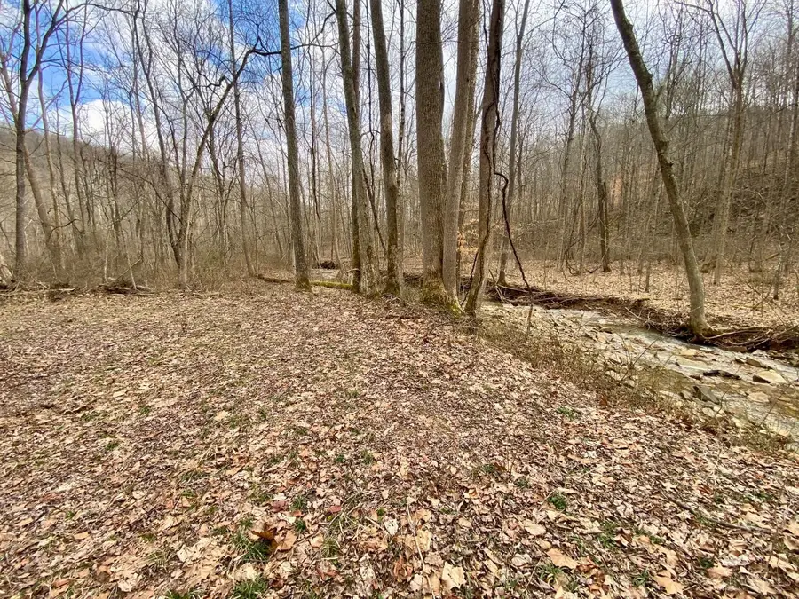 20 Beech Fork Road, Otway, OH 45657 - #3